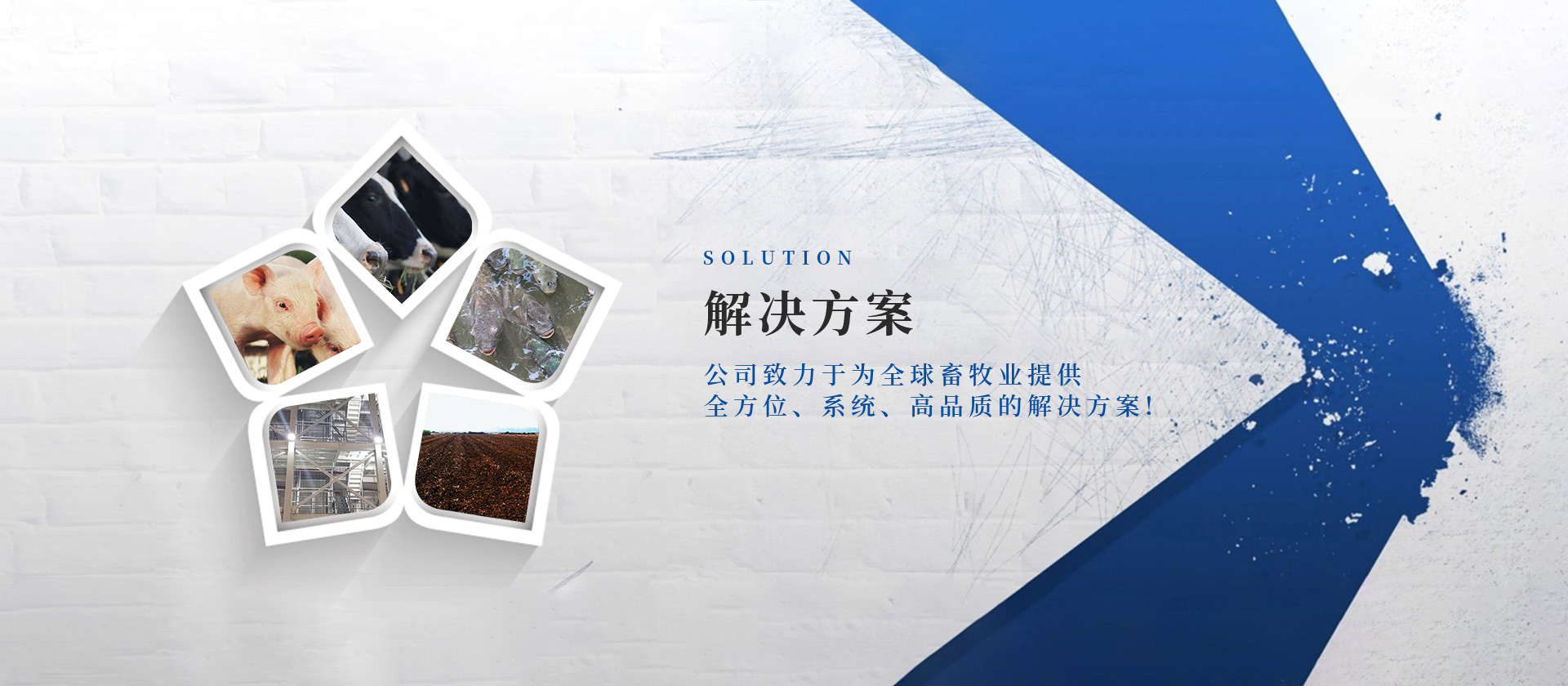 水产饲料成套设备